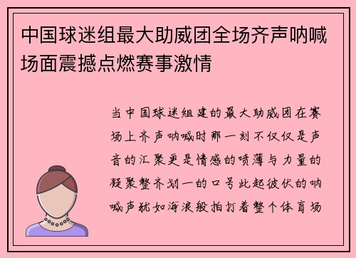 中国球迷组最大助威团全场齐声呐喊场面震撼点燃赛事激情